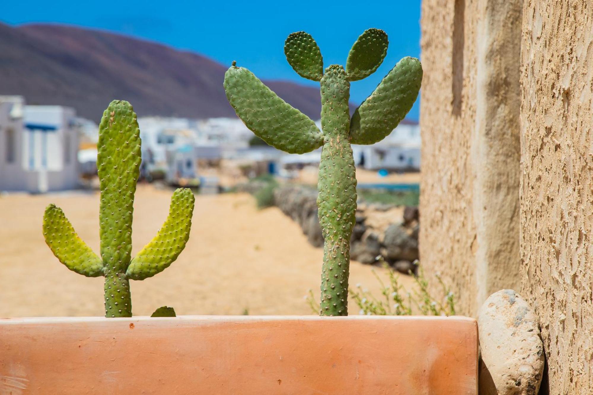 Eslanzarote La Duna House, Wifi, Sea Views Caleta de Sebo Exteriör bild